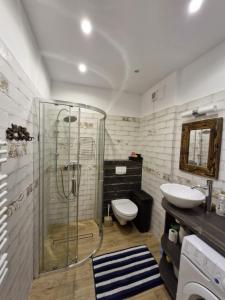 a bathroom with a shower and a toilet and a sink at Apartamenty na Szlaku in Czarny Dunajec