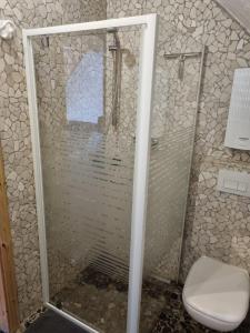 a shower with a glass door in a bathroom at Ferienwohnung Fritzer in Ellenz-Poltersdorf