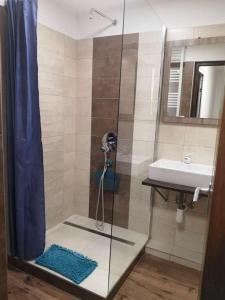 Kúpeľňa v ubytovaní Tp Apartman
