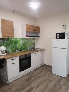Kuchyňa alebo kuchynka v ubytovaní Tp Apartman