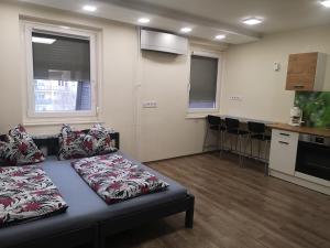 Kuchyňa alebo kuchynka v ubytovaní Tp Apartman