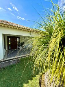 Zahrada ubytování Casa Conduto