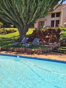 a swimming pool with a tree in a yard at Crest Farm Cottage in Waterfall