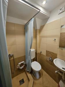 a bathroom with a toilet and a sink at Villa Altiparmak in Resen +12 photos