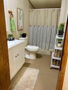 a bathroom with a toilet and a sink and a shower at Grassy Meadow Getaway - HOT TUB! in Mount Nebo