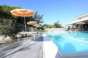 Bazén v ubytování Hotel Paradiso Verde nebo v jeho okolí
