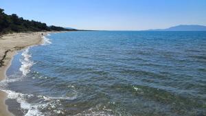 Imagen de la galería de Glamping Podere Angiotto LODGE MONTIANO, en Magliano in Toscana 2 fotos más