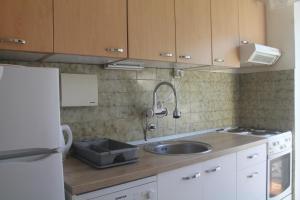 Kuchyňa alebo kuchynka v ubytovaní Apartment Vita