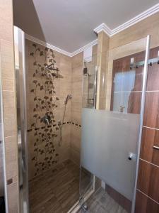 a bathroom with a shower with a glass door at Tágas hely a parton in Balatonszárszó +20 photos