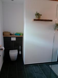 a bathroom with a toilet and a glass shower at Ferienwohnung Gisela 80qm in Gernrode - Harz +22 photos
