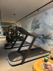 Posilňovňa alebo fitness centrum v ubytovaní GOING TRIPLE A apartments NORTH