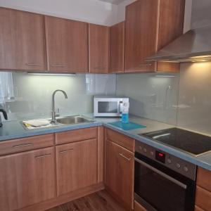 Η κουζίνα ή μικρή κουζίνα στο Köln Appartement