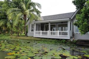 a house with a pond of water lilies at Mazecape in Ban Hua Khwai +27 photos