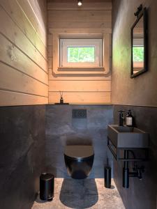 a bathroom with a black toilet and a sink at Hercynia Lodge in Bad Lauterberg