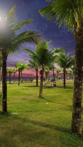 a group of palm trees in a park at Apartamento in Solemar