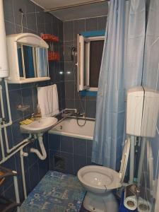 バイナ・バシュタにあるDomacinstvo Jezdicのトイレと洗面台付きのバスルーム