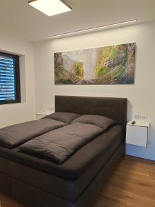 Una cama en un dormitorio con un cuadro en la pared. en Wohlfühl-Ferienwohnung "Igelnest", en Vorderelsenwang