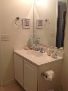 ein Badezimmer mit Waschbecken und Spiegel in der Unterkunft Pawleys Island Retreat! in True Blue