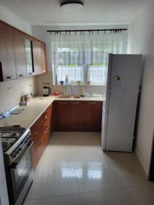 Kuchyň nebo kuchyňský kout v ubytování Apartament Domaniówka + 3 fotografie