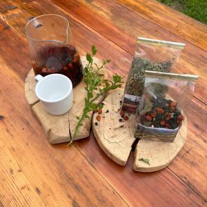 Φωτογραφία από το άλμπουμ του Šumavské apartmány σε Zdíkov