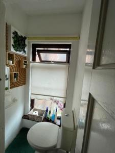 a small bathroom with a toilet and a window at House in Antrim road in Belfast
