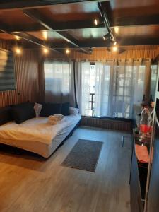 a room with a bed and a couch in it at RedSeaSuite israel in Eilat