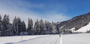 巴尔德赫旺Ariana的一群人从白雪覆盖的山坡上滑雪下来