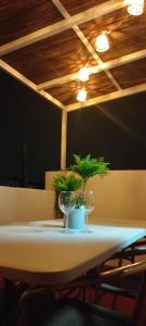 a table with two potted plants on top of it at Casa Celia in Valsequillo