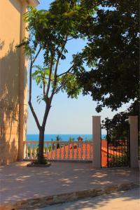 a tree on a sidewalk next to a fence at Villa Katalina in Varna City