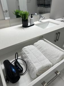 卡尔加里A Luxurious Cozy Place的一间带水槽和台面毛巾的浴室