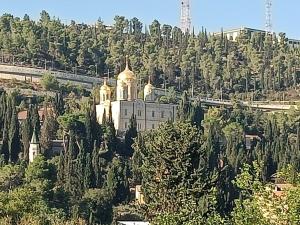 Naturlandskabet i nærheden af lodgen