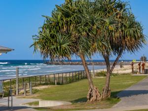un par de palmeras en la playa en Blue Horizons Kingscliff with Pool, en Kingscliff