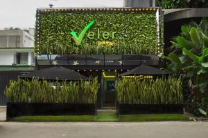 Zahrada ubytování Hotel Veler