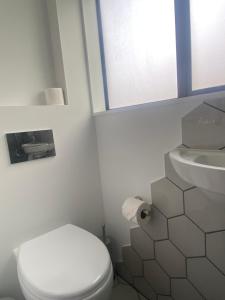 a white bathroom with a toilet and a sink at Christchurch Airport Tiny House in Christchurch