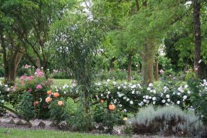 A garden outside Villa Belfiore