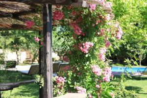 A garden outside Villa Belfiore