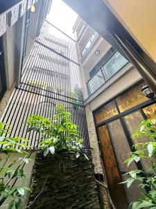 a group of plants in a room with a building at 一中太陽綠墅 in Taichung +18 photos