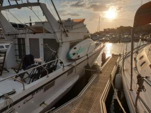 a couple of boats docked at a dock at Insolite in Capbreton
