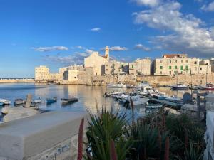 a group of boats in a harbor in a city at Calipso in Giovinazzo