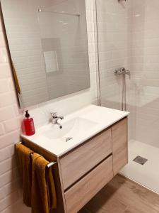 une salle de bain avec un lavabo et une douche avec un miroir dans l'établissement Casa Rural Camino de la Fuente, à Teroleja