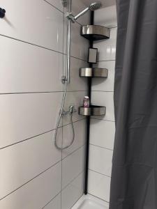 eine Dusche mit Duschkopf in einem Badezimmer in der Unterkunft MaRu Living M71 in Köln