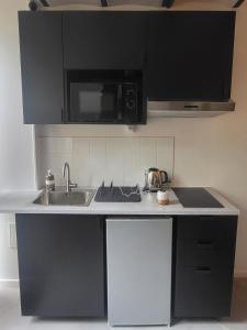 a kitchen with a sink and a microwave at Charming Duplex in Le Vésinet