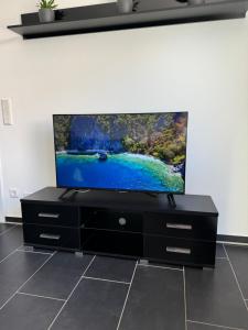 TV a/nebo společenská místnost v ubytování Apartment 13