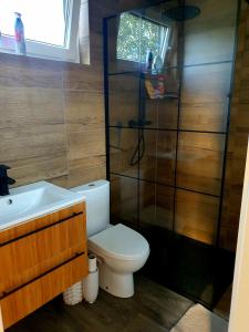 a bathroom with a toilet and a shower and a sink at Strefa relaxu u JJ in Powałki +28 photos