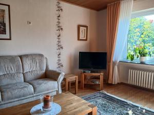 TV a/nebo společenská místnost v ubytování Ferienwohnung Feld und Wiese
