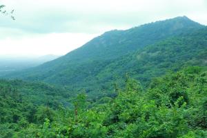 auliculiculiculiculiculiculiculiculiculiculiculiculiculiculic at Whiteflower Mountain Resort in Perintalmanna