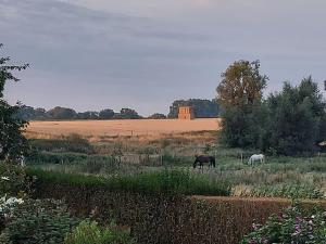 Foto sihtkohas Ramillies asuva majutusasutuse 140 m2 de charme à la campagne dans un style design galeriist