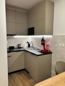 Kuchyň nebo kuchyňský kout v ubytování Apartman u centru Kolasina sa garazom
