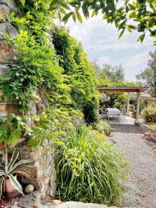 a garden with plants and a stone wall at Villa d'Artisti in Sanremo