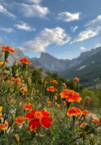 泰斯Guest House Astrit Villi的相册照片 更多26张照片